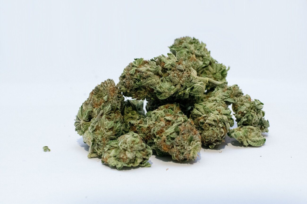 Close-up of quality marijuana from Village Green